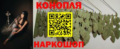 не бодяженный Будённовск