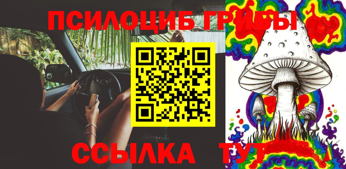Галлюциногенные грибы мицелий Ноябрьск