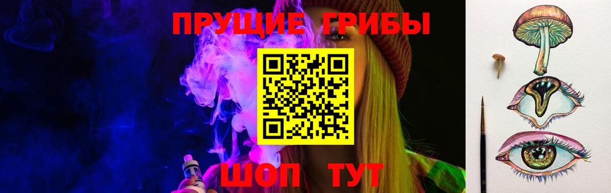 Псилоцибиновые грибы Cubensis  Вход с VPN  Ноябрьск 